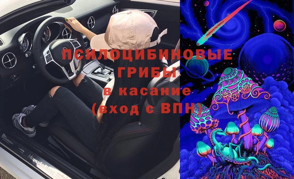 ПСИЛОЦИБИНОВЫЕ ГРИБЫ Гусев