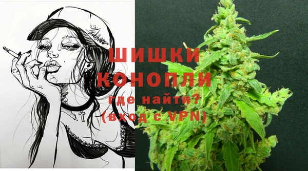 хмурый Гусиноозёрск