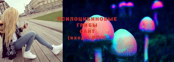 амф Гусь-Хрустальный