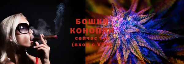 ПСИЛОЦИБИНОВЫЕ ГРИБЫ Гусев
