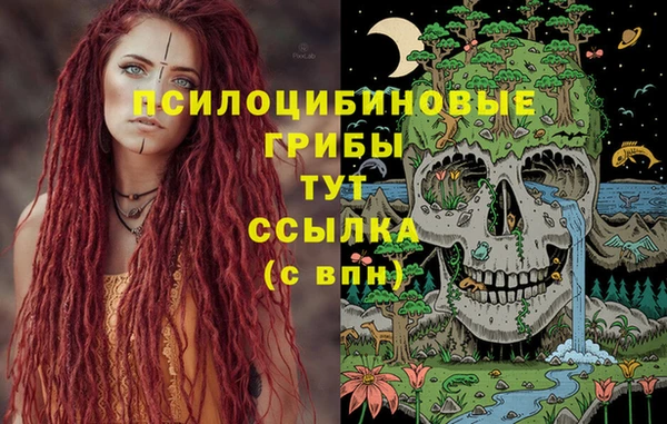 ПСИЛОЦИБИНОВЫЕ ГРИБЫ Михайловка
