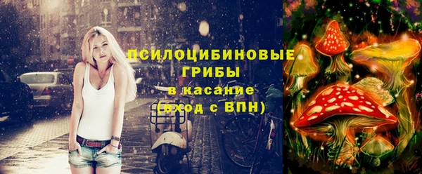 хмурый Гусиноозёрск