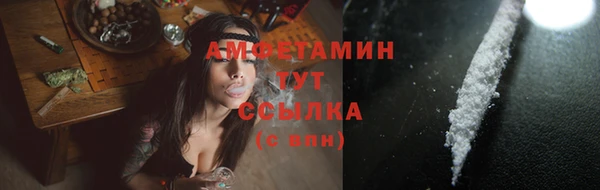 молекула духа Михайловск