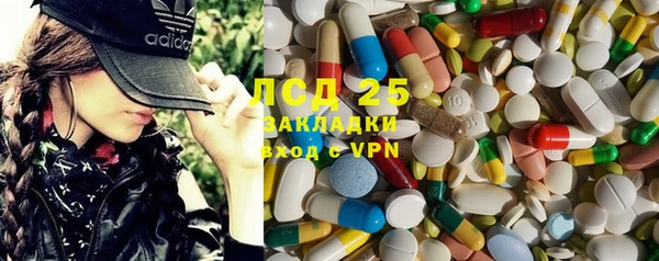 амф Гусь-Хрустальный