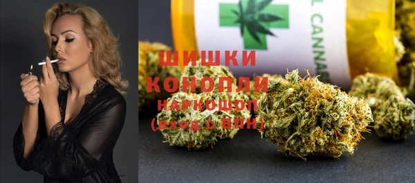 сатива Медногорск