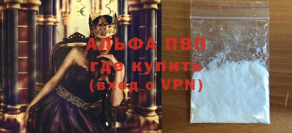 ПСИЛОЦИБИНОВЫЕ ГРИБЫ Гусев
