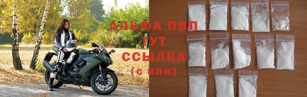 амф Гусь-Хрустальный