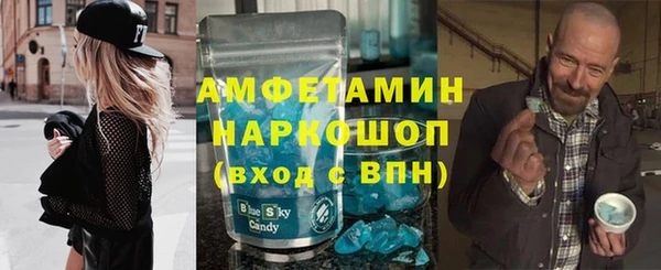 амф Гусь-Хрустальный