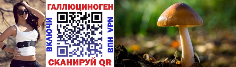OMG зеркало маркетплейс официальный сайт Галлюциногенные грибы MAGIC MUSHROOMS Дорогобуж