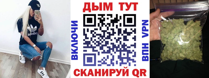 Бошки марихуана MAZAR  Дорогобуж 